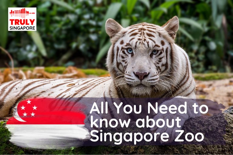 All You Need to know about Singapore Zoo