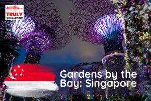 Gardens by the Bay: All you need to know