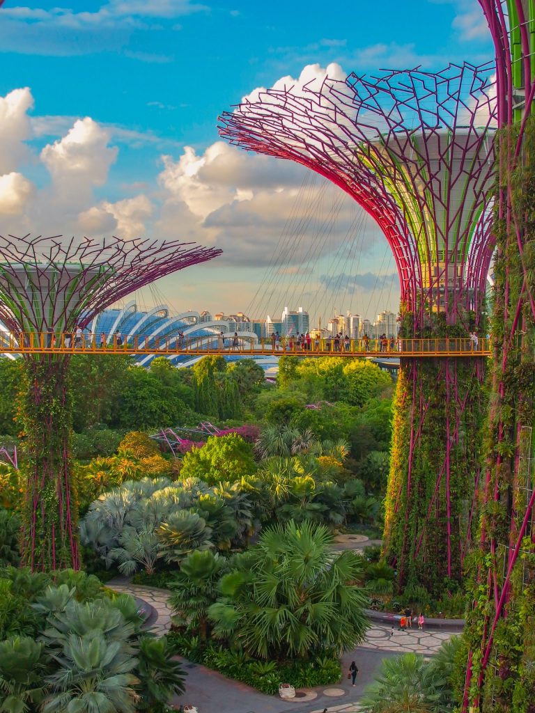 Garden by the Bay trees